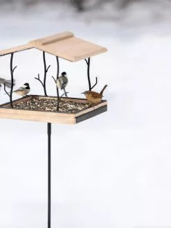 GSC Twigs Platform Bird Feeder