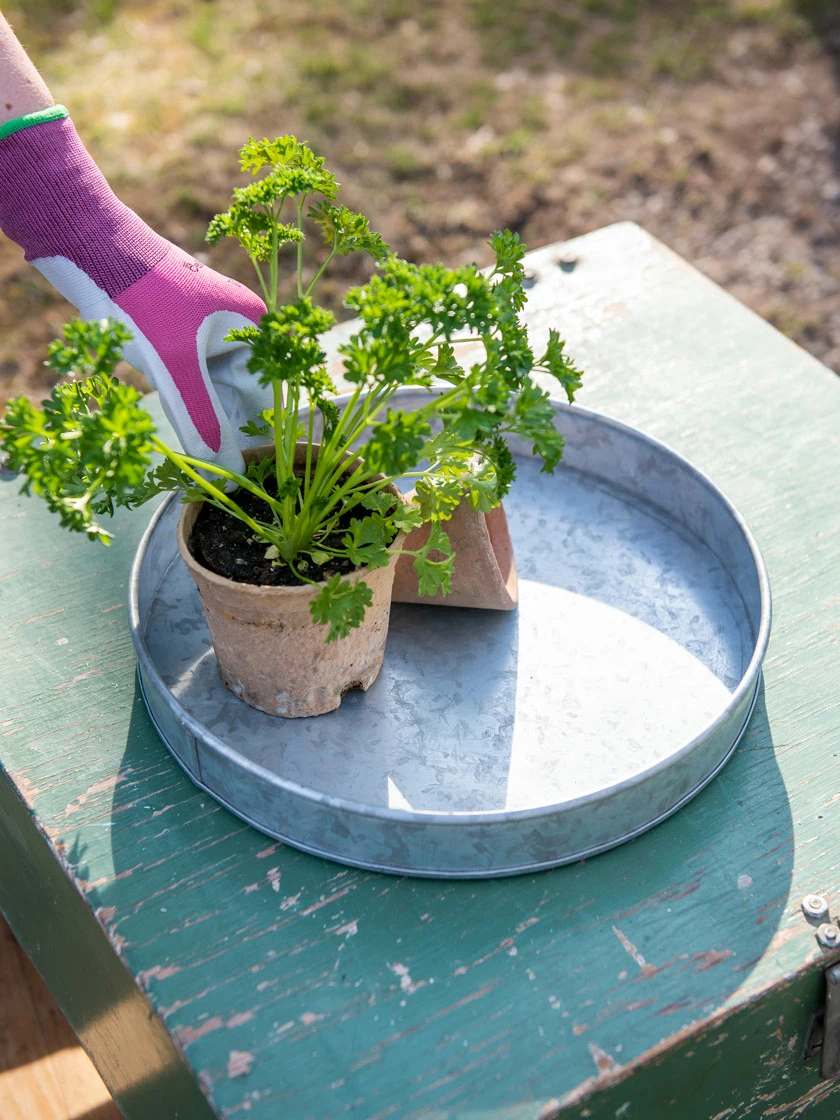 GSC Galvanized Tray Round, 11"
