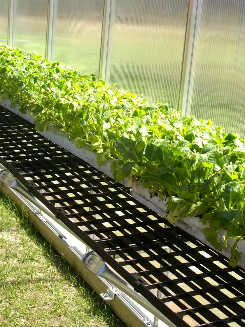 GSC MONT Greenhouse Work Bench System, 8' X 8' - Image 3