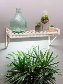 GSC Oslo LED Grow Light Wall Shelf