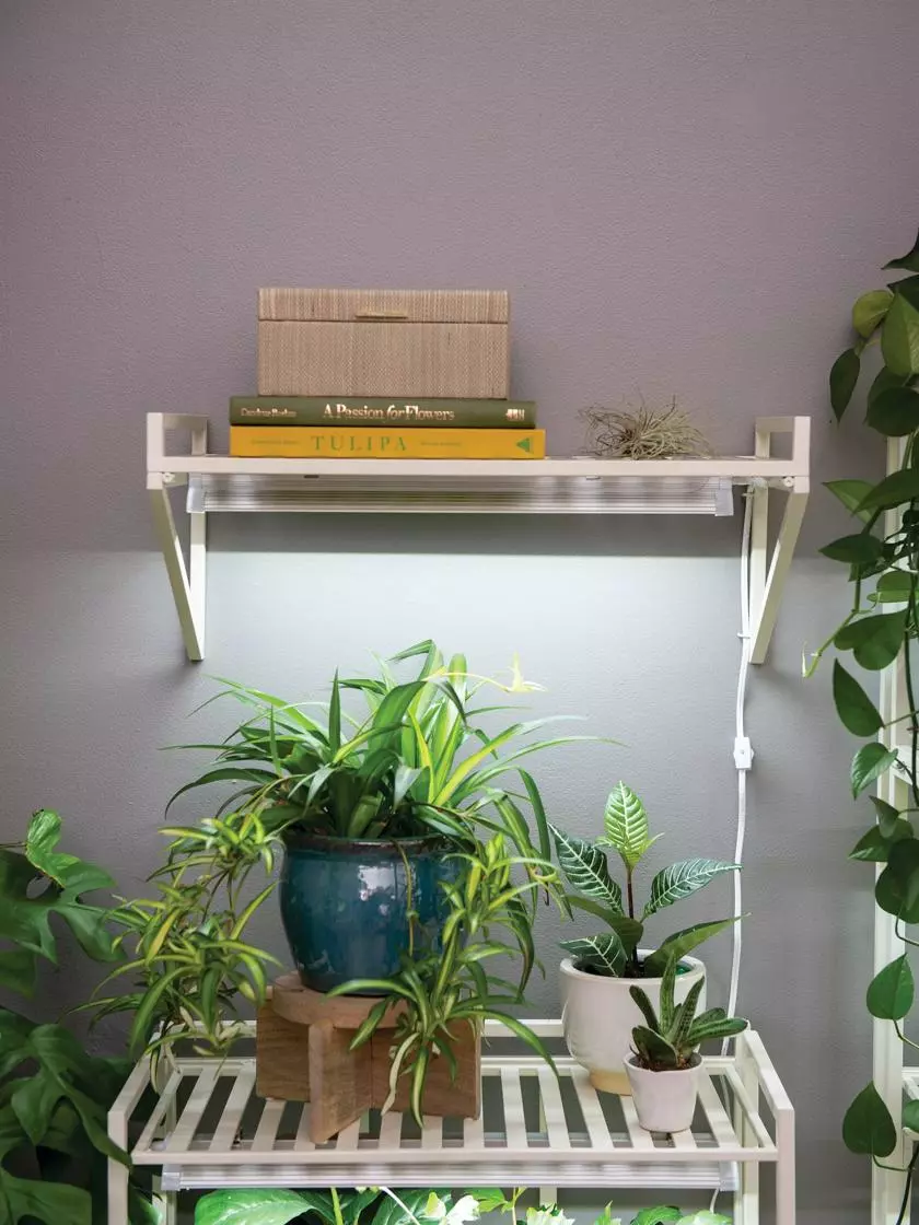 GSC Oslo LED Grow Light Wall Shelf - Image 2