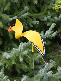GSC Florida Dancing Birds®, Songbirds