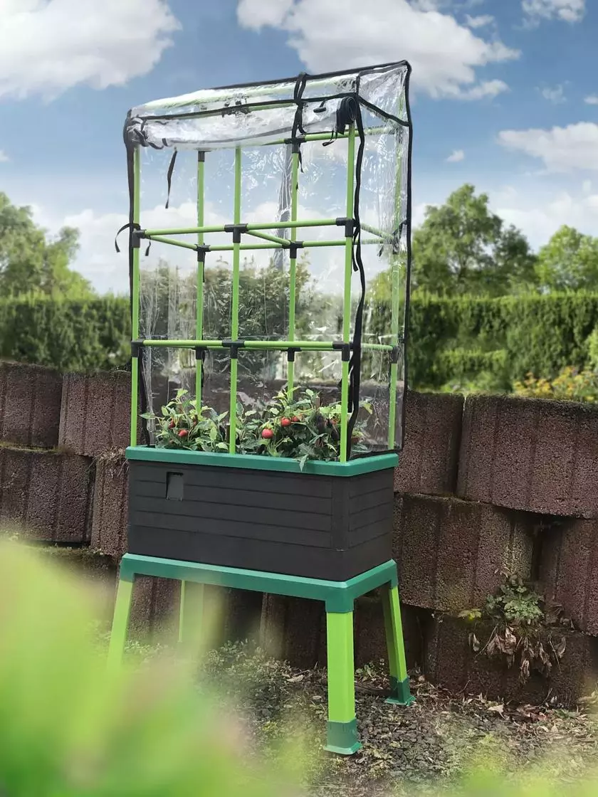 GSC Greenhouse Cover For City Jungle® Tomato Trellis - Image 2