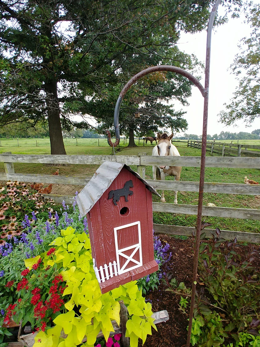 GSC Summitville Stable Bird House - Image 6