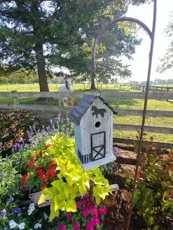 GSC Summitville Stable Bird House