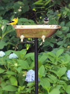GSC Copper Bathtub Birdbath