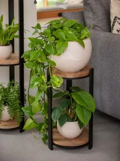 GSC Double Tower Plant Stand