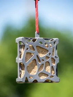 GSC Suet Cake Feeder