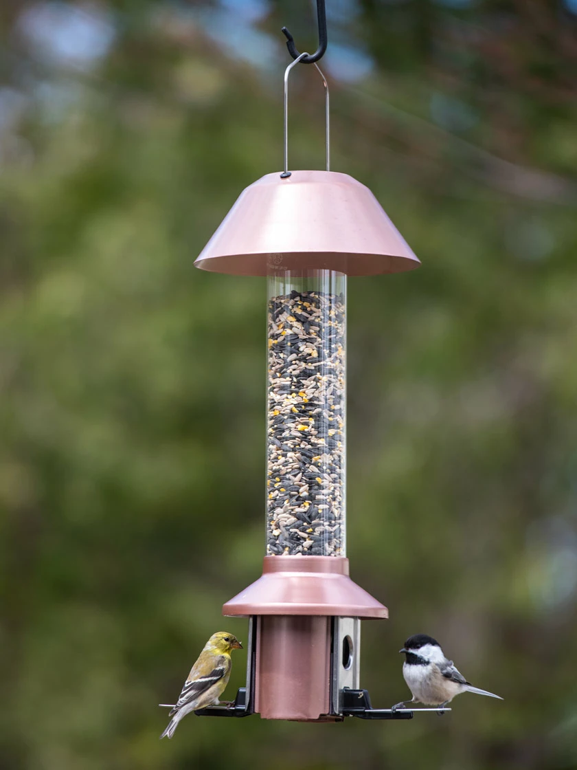 GSC Roamwild PestOff™ Squirrel Proof Bird Feeder - Image 2
