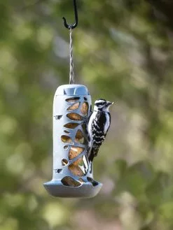 GSC Suet Ball Feeder