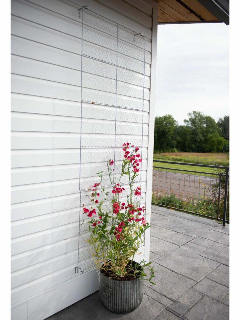 GSC Chicken Wire Wall Trellis - Image 6