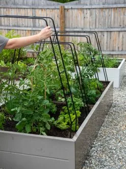 GSC Zenith Garden Hoops, Set Of 4