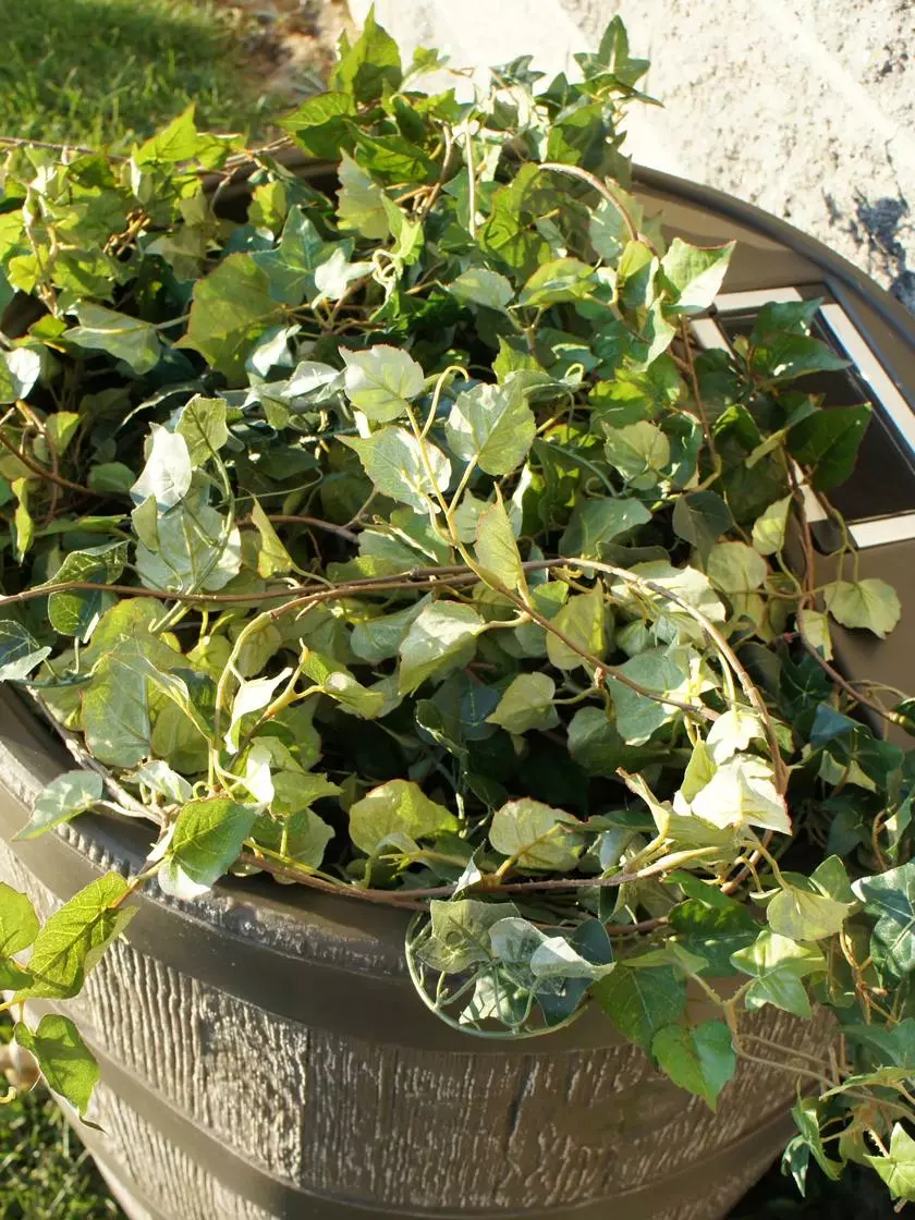 GSC Round Rain Barrel With Planter, 35 Gallons - Image 4