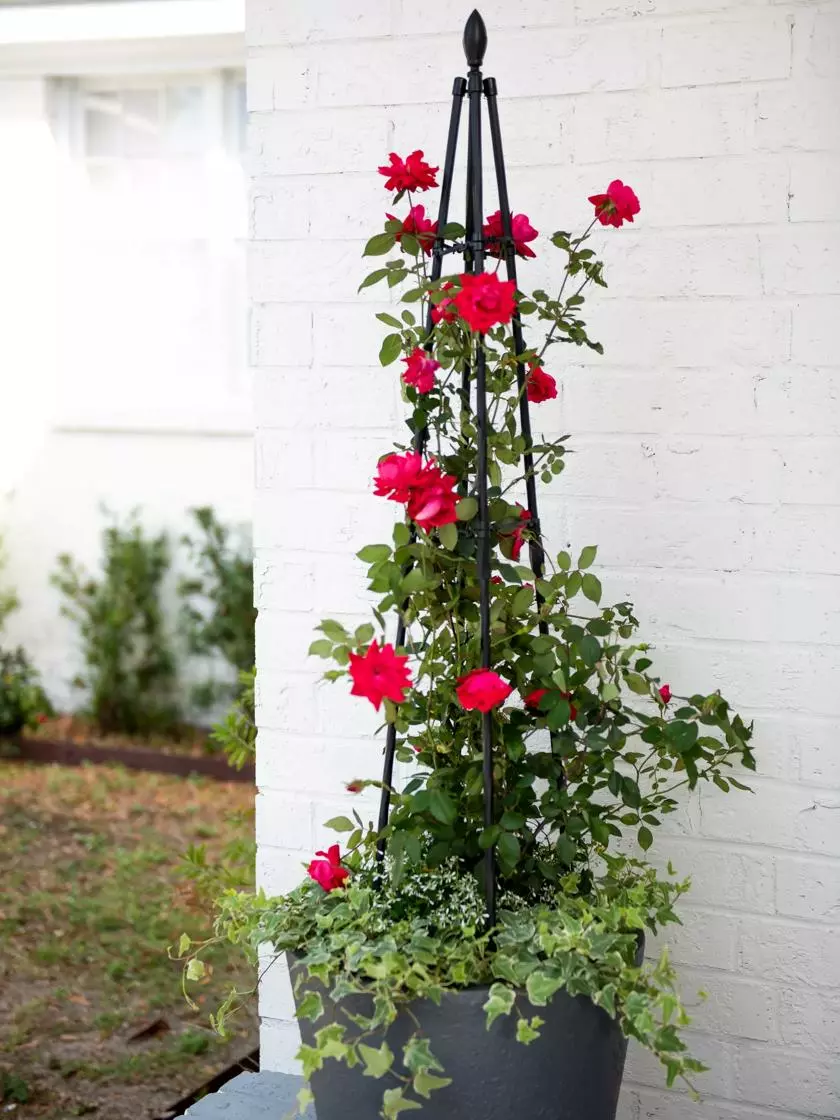 GSC Teardrop Teepee Trellis, 47.25"