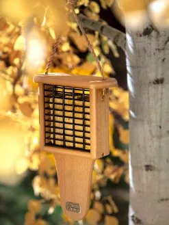 GSC Spruce Creek Tail Prop Suet Feeder