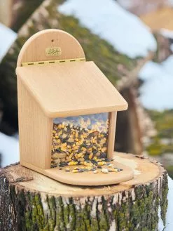 GSC Spruce Creek Squirrel Munch Box