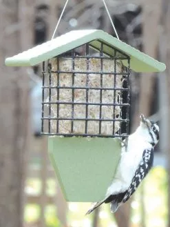 GSC Birds Choice™ Tail Prop Feeder