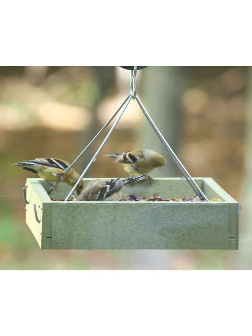 GSC Birds Choice™ Tray Bird Feeder, Small - Image 3