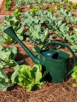 GSC Long Reach Watering Can, Large