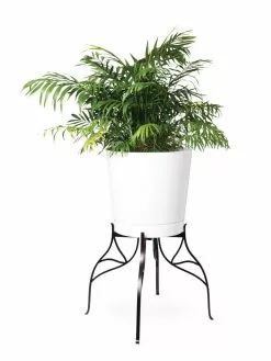 GSC Aubrey Adjustable Plant Stand