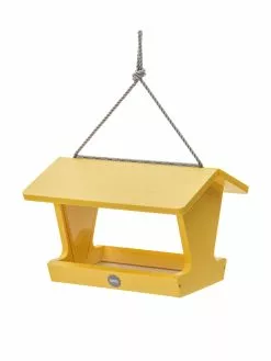 GSC Color Pop Hopper Bird Feeder