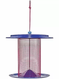 GSC Color Pop Sunflower Seed Bird Feeder