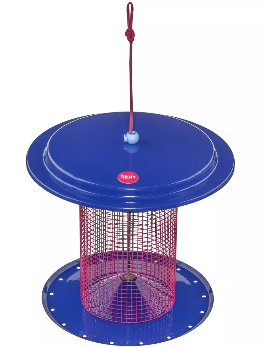 GSC Color Pop Sunflower Seed Bird Feeder - Image 5