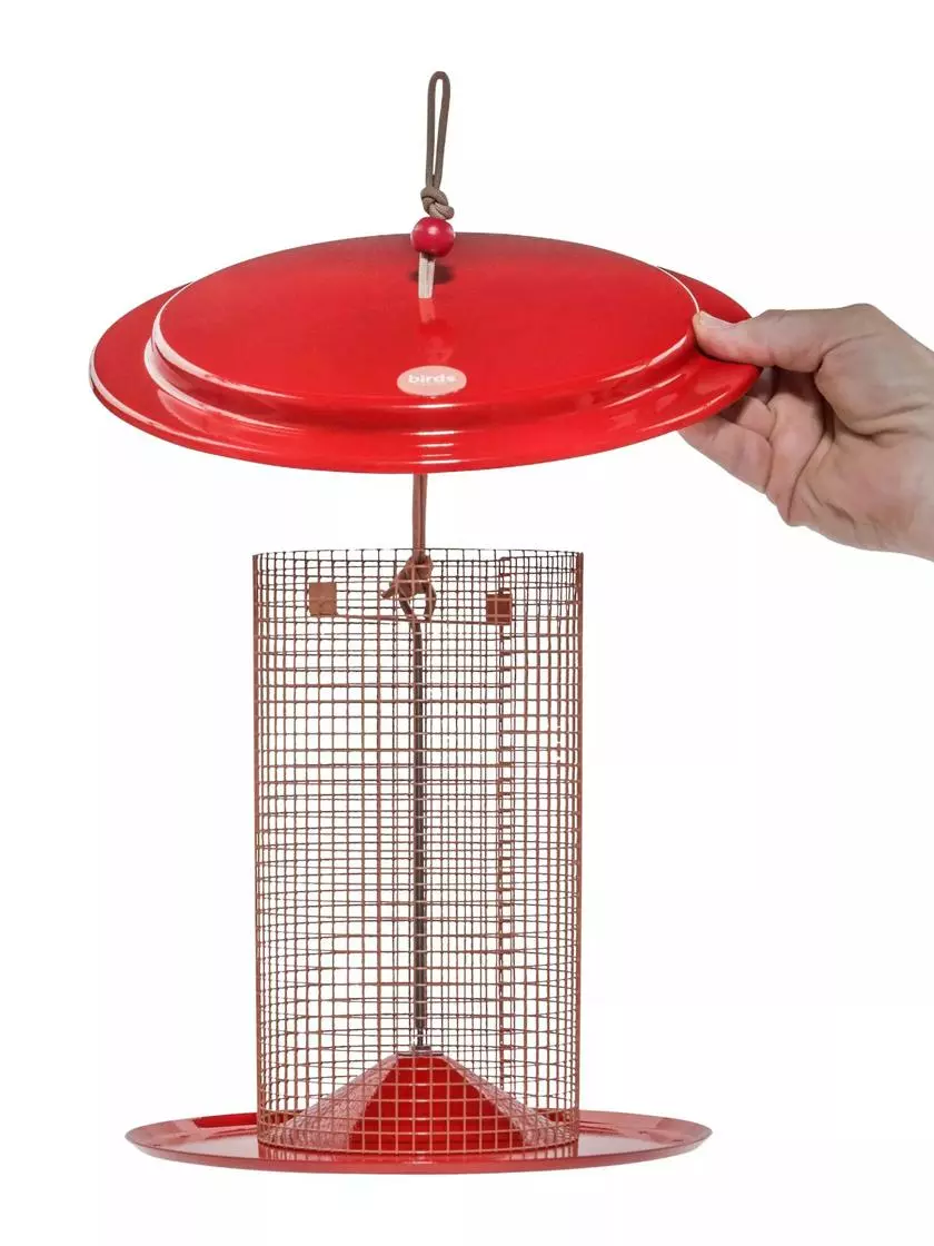 GSC Color Pop Sunflower Seed Bird Feeder - Image 2