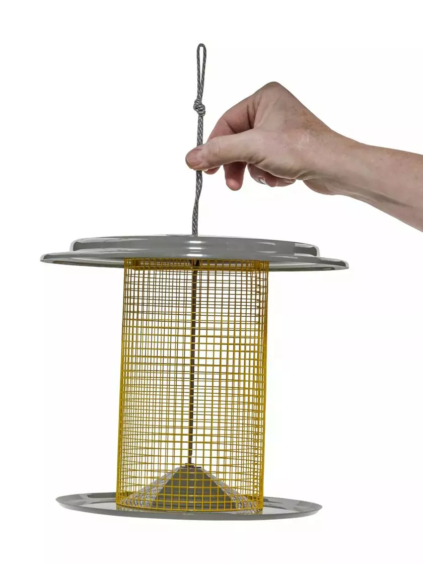 GSC Color Pop Sunflower Seed Bird Feeder - Image 3