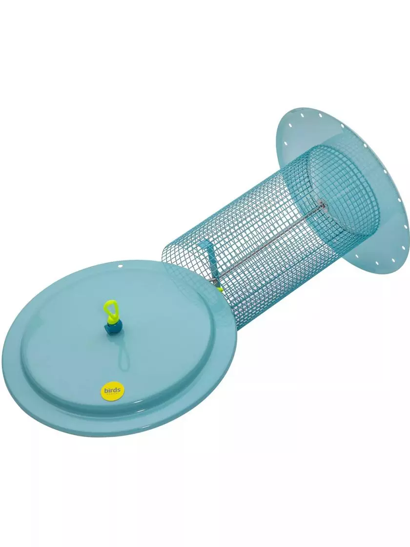 GSC Color Pop Sunflower Seed Bird Feeder - Image 4