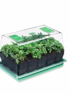GSC Deep Root Seedstarting System, Black
