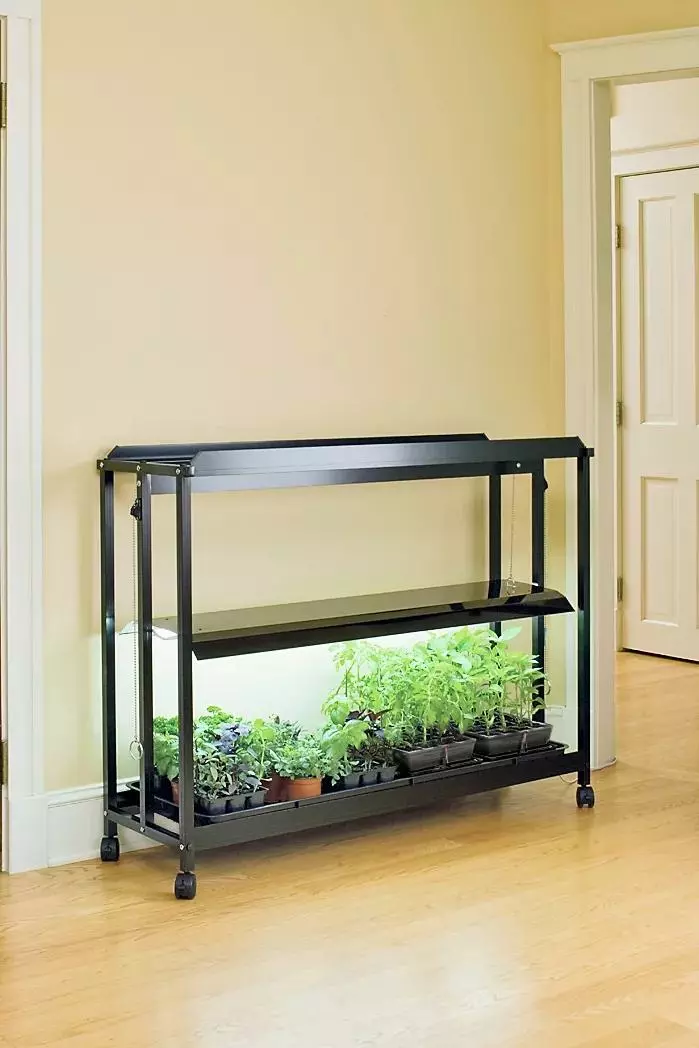 GSC Floor Sunlite® Garden