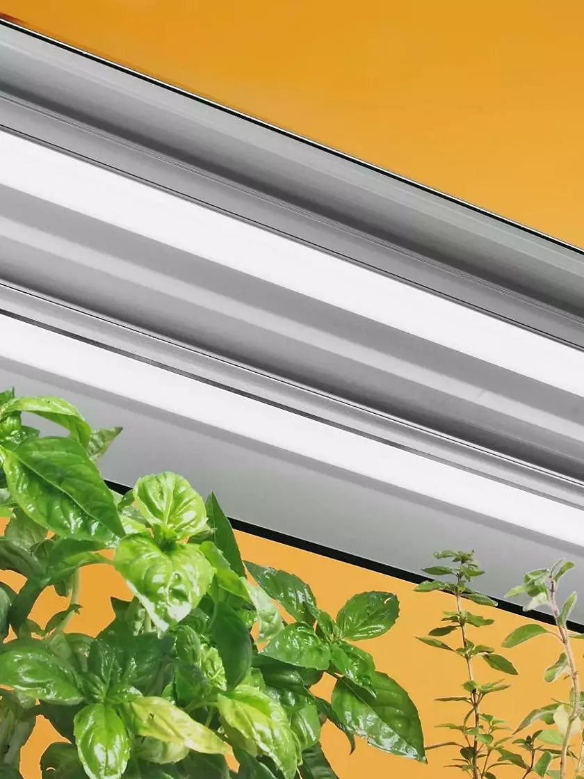 GSC T5 Light Fixture